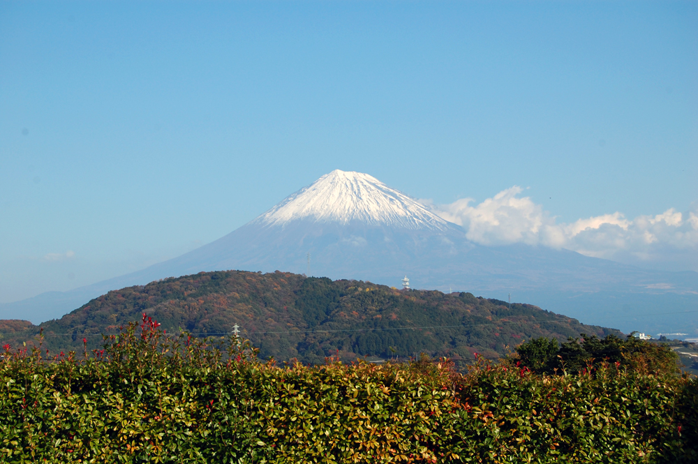 富士川SAからの富士山